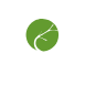 Cedro Capital